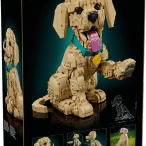Golden retriever puppy